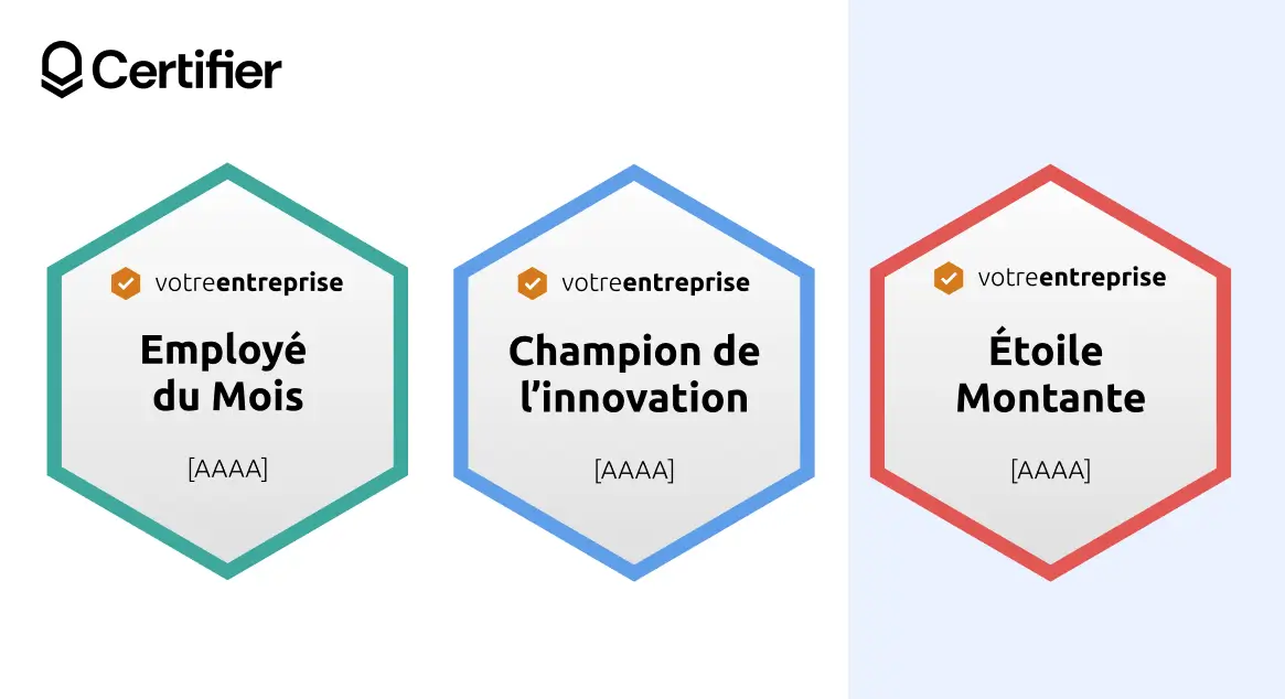 Badge numérique hexagonal au design épuré, cadre monochrome et fond gris. Badge numérique hexagonal au design épuré, cadre monochrome et fond gris.