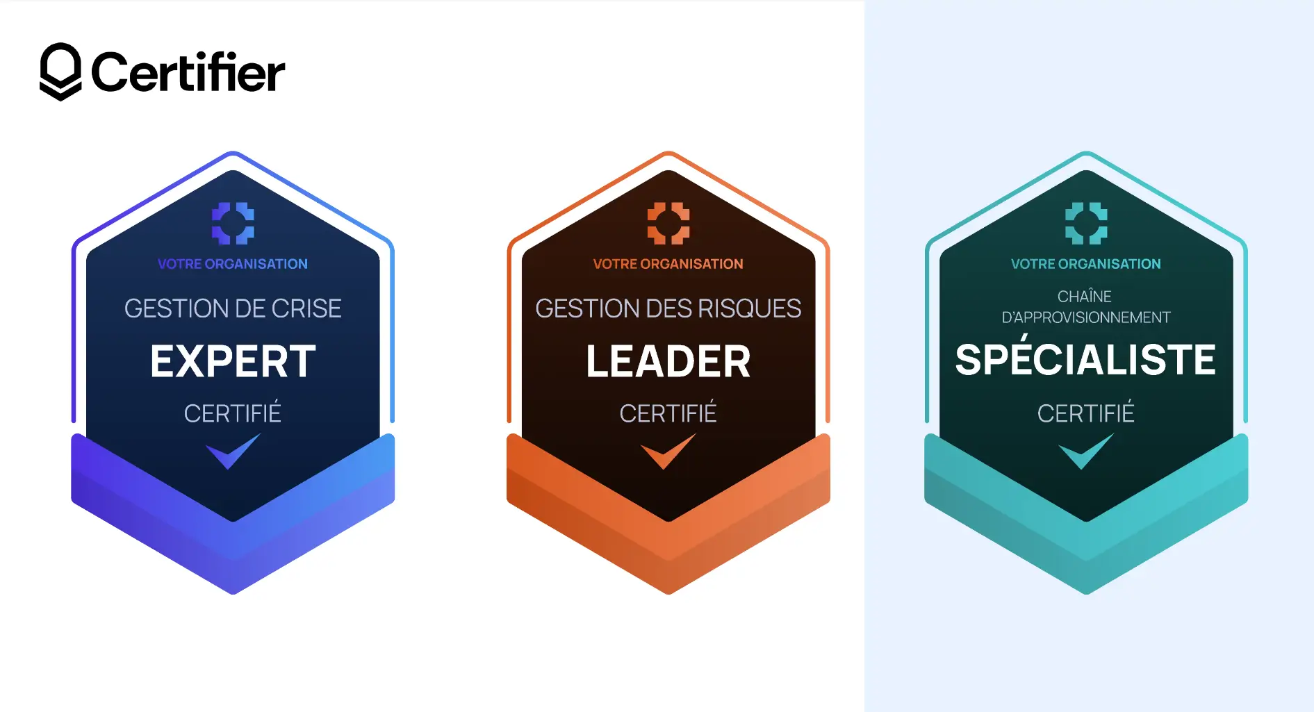 Modèle de badge pour spécialistes en trois combinaisons de couleurs avec ruban et espace logo. Modèle de badge pour spécialistes en trois combinaisons de couleurs avec ruban et espace logo.