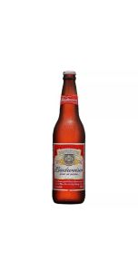 imagen botella