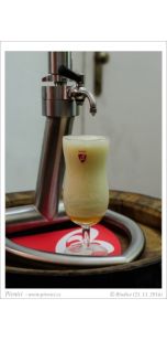 imagen botella