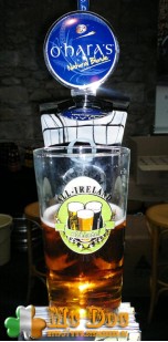 imagen botella