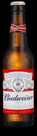 imagen botella