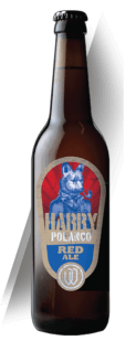 imagen botella