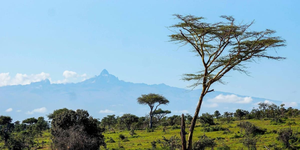 Pristine views of Mount Kenya snowcapped peaks standing over the indigenous acacia treeline