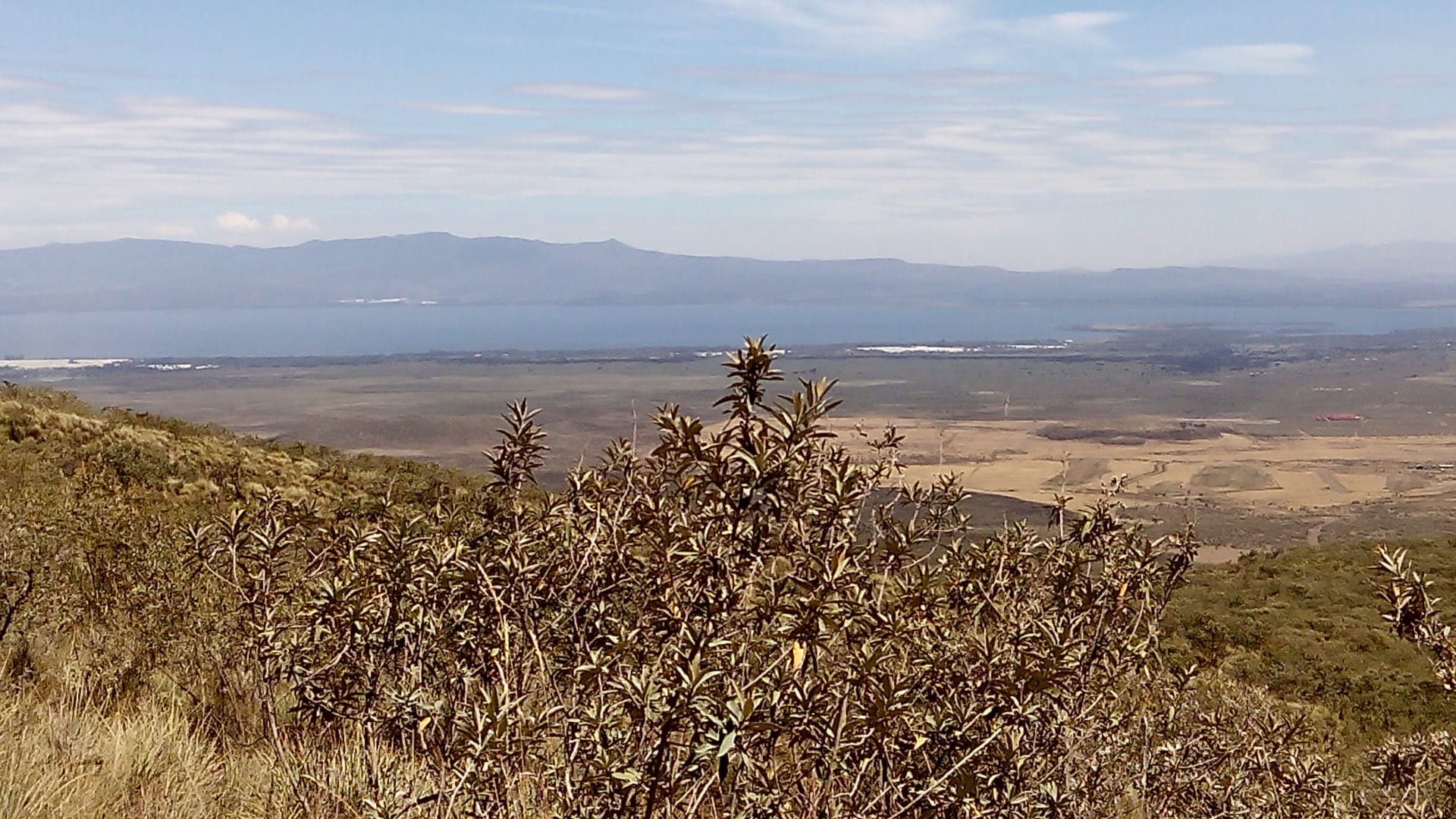 Real estate and neighbourhood in Naivasha