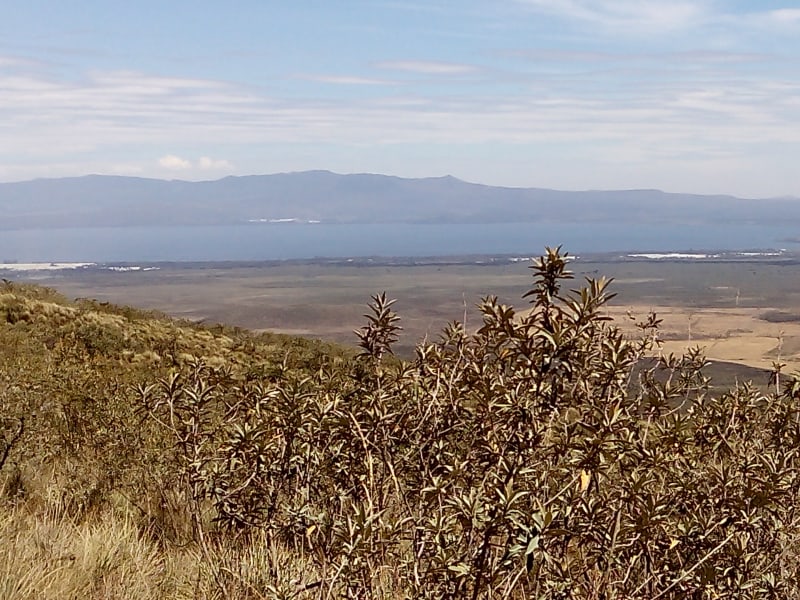 Real estate and property in Naivasha