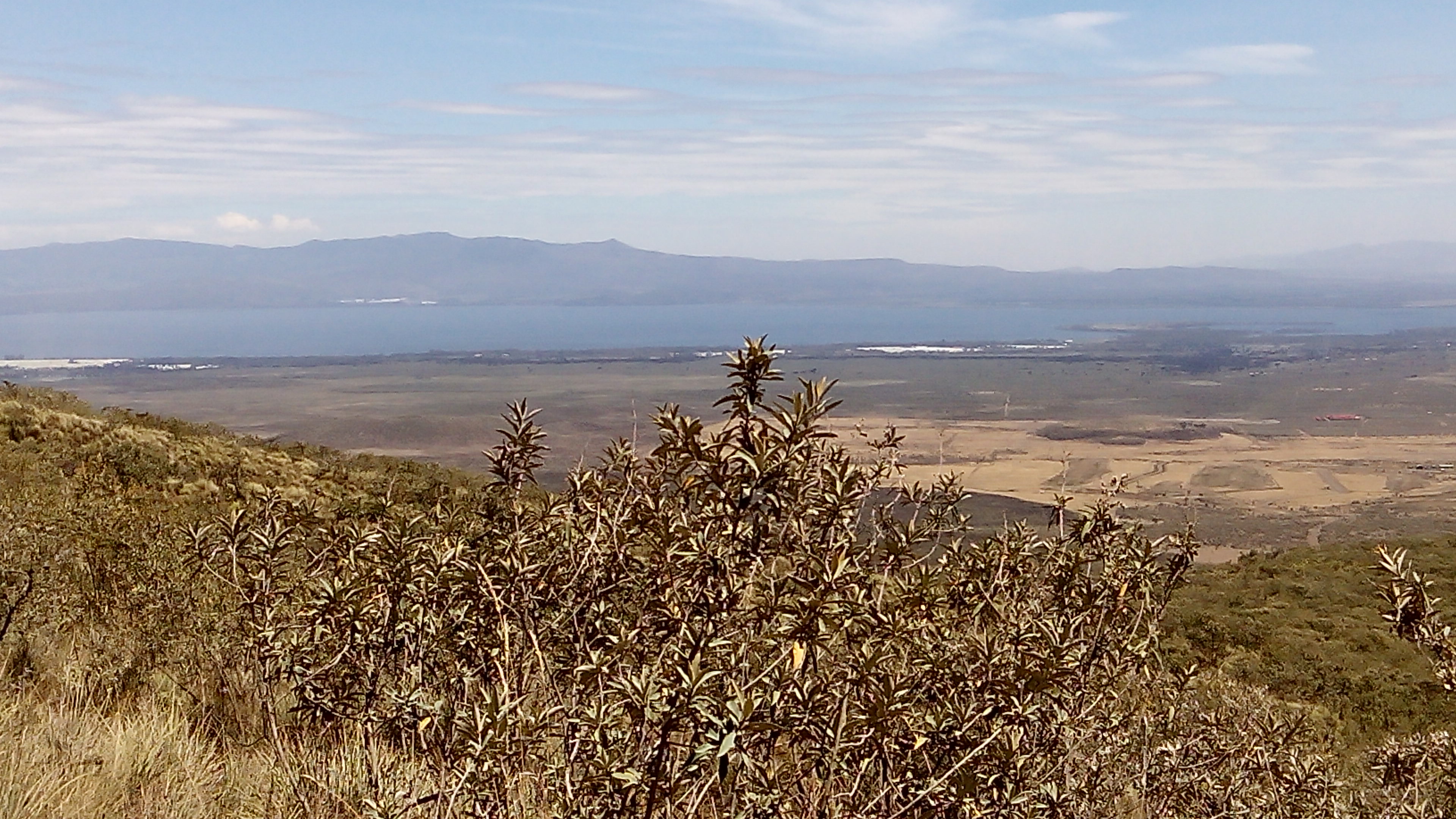 Naivasha