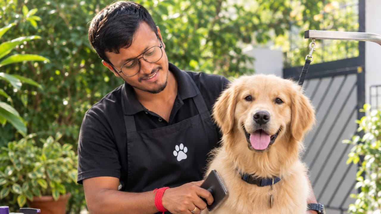 Certificate in Professional Dog Training & Handling