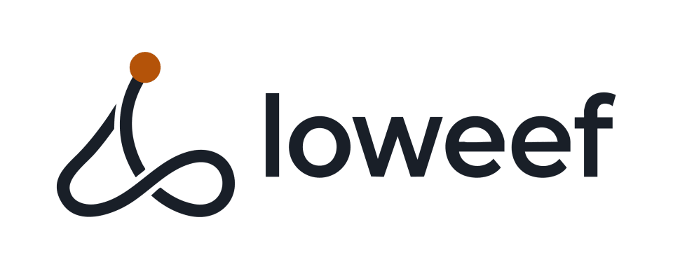 Loweef logo featuring an abstract dark-navy flowing line symbol with an orange circular accent beside a lowercase wordmark.