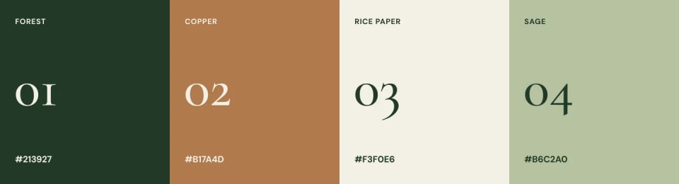 The official Dhriti brand color palette displaying four vertical earth-toned color swatches: Forest (dark green), Copper (warm brown), Rice Paper (off-white), and Sage (light green), complete with hex codes.