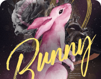 Bunny poster