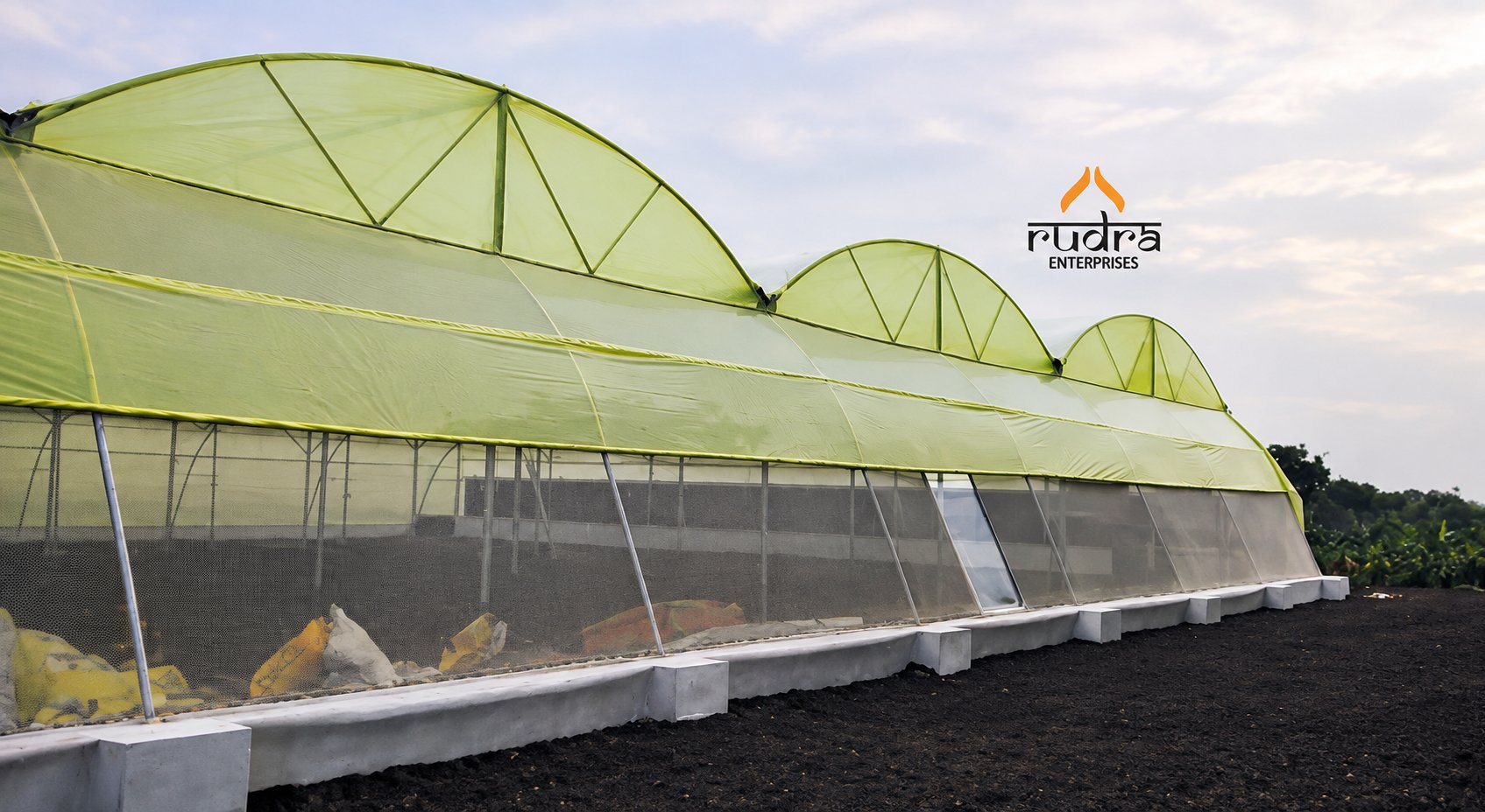 Tunnel Type Polyhouse
