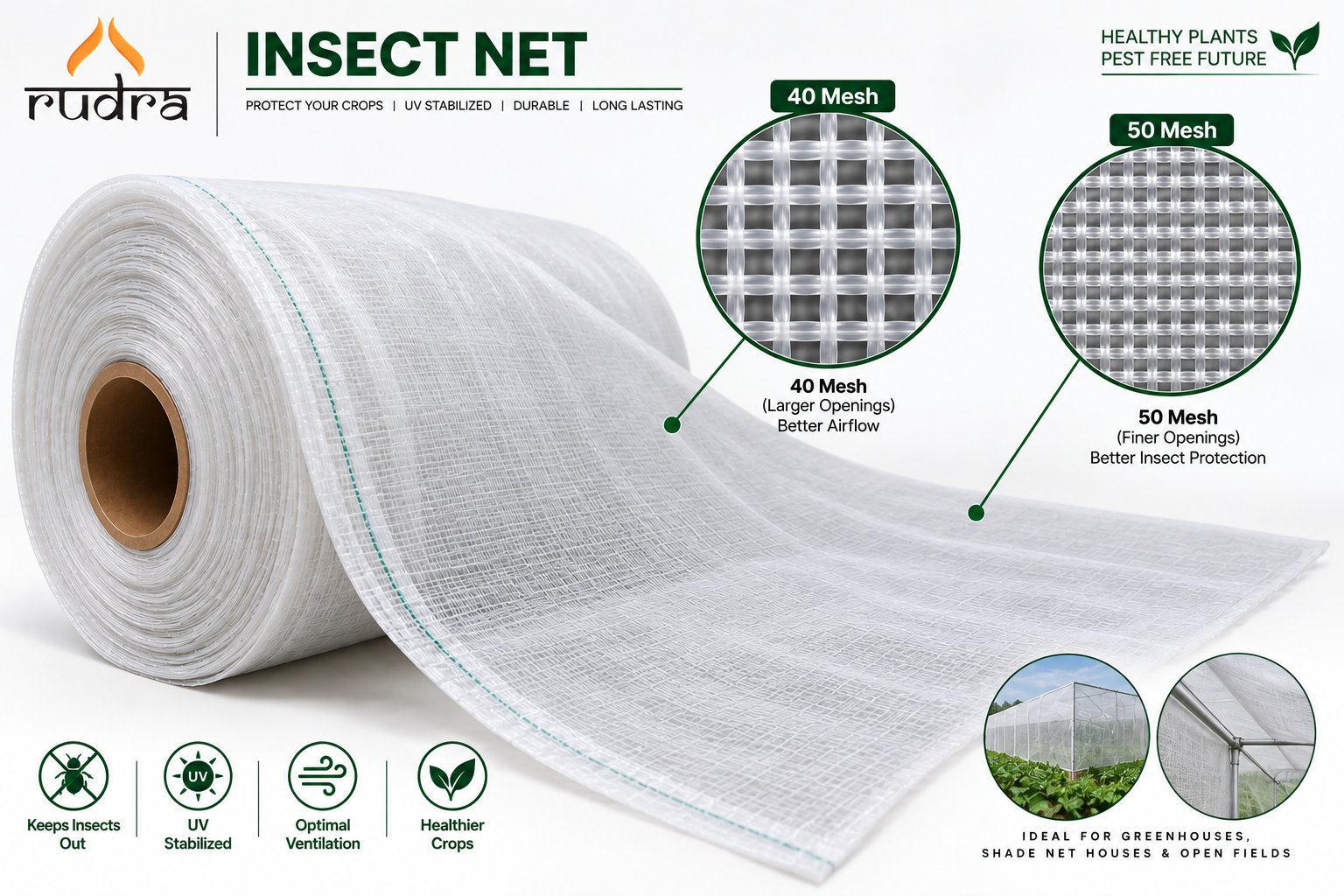 Insect Net