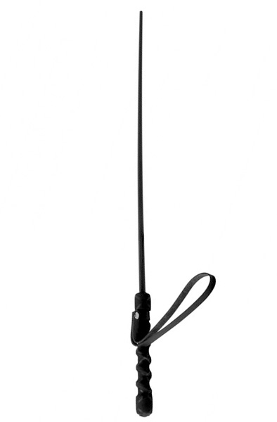 Isabella Sinclaire Intense Impact Cane Ridpiska