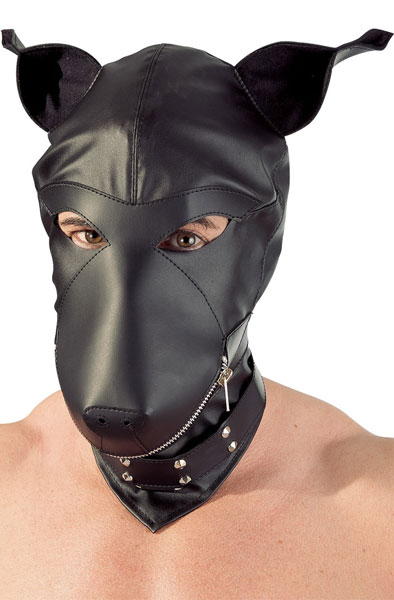 Alternativ bild 1 för Dog Hood