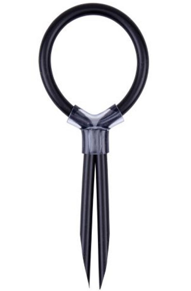 Chisa Stud Cock Ring Penisring |  | Intimast