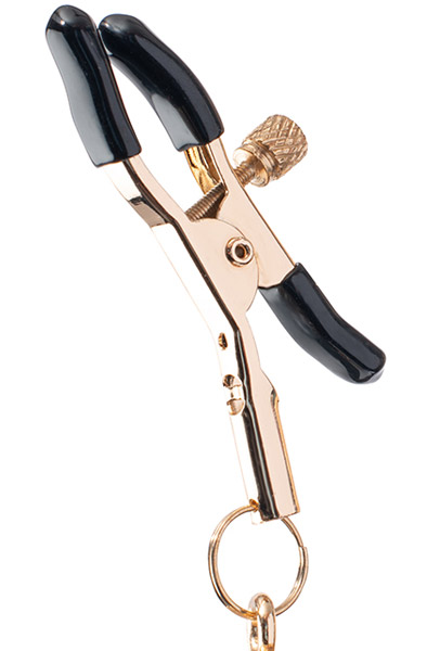 Alternativ bild 1 för Premium Nipple Clamps With Tassle