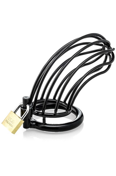 Male Bird Cock Cage 45mm Kyskhetsbur |  | Intimast