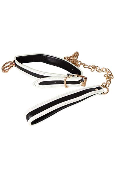 Glow-in-the-Dark Collar with Leash Halsband & koppel
