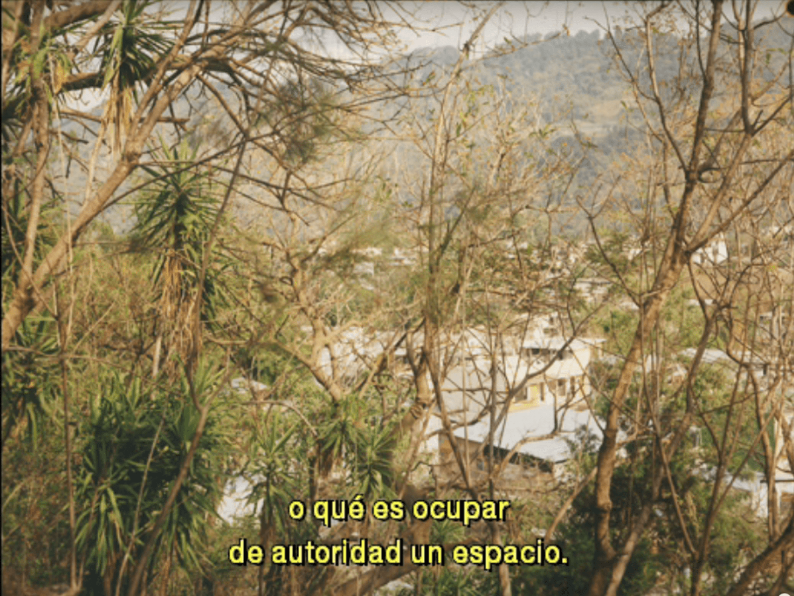 CAPTURES DES REGARDÉS - charlotte el moussaed