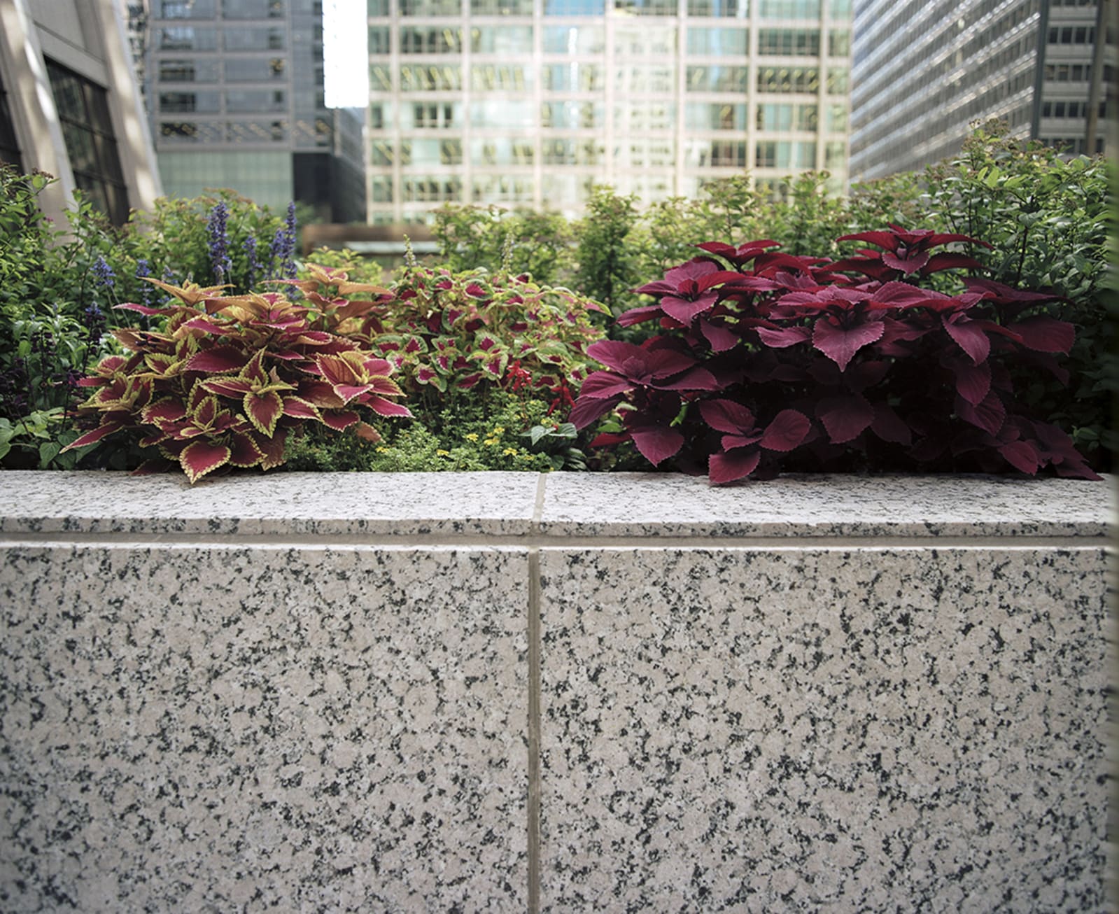 LOBBY - charlotte el moussaed