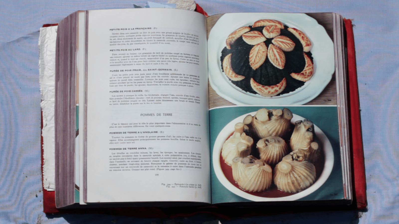 CAPTURES VIDEOS - charlotte el moussaed