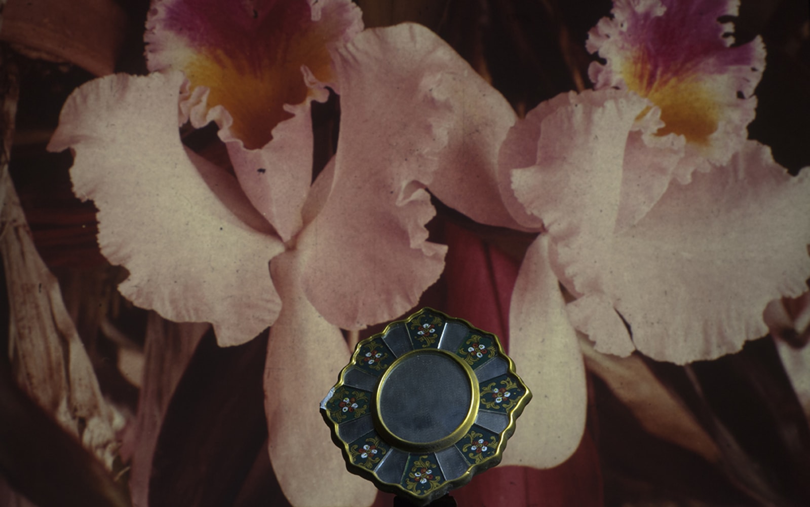 LES HORIZONTAUX - charlotte el moussaed