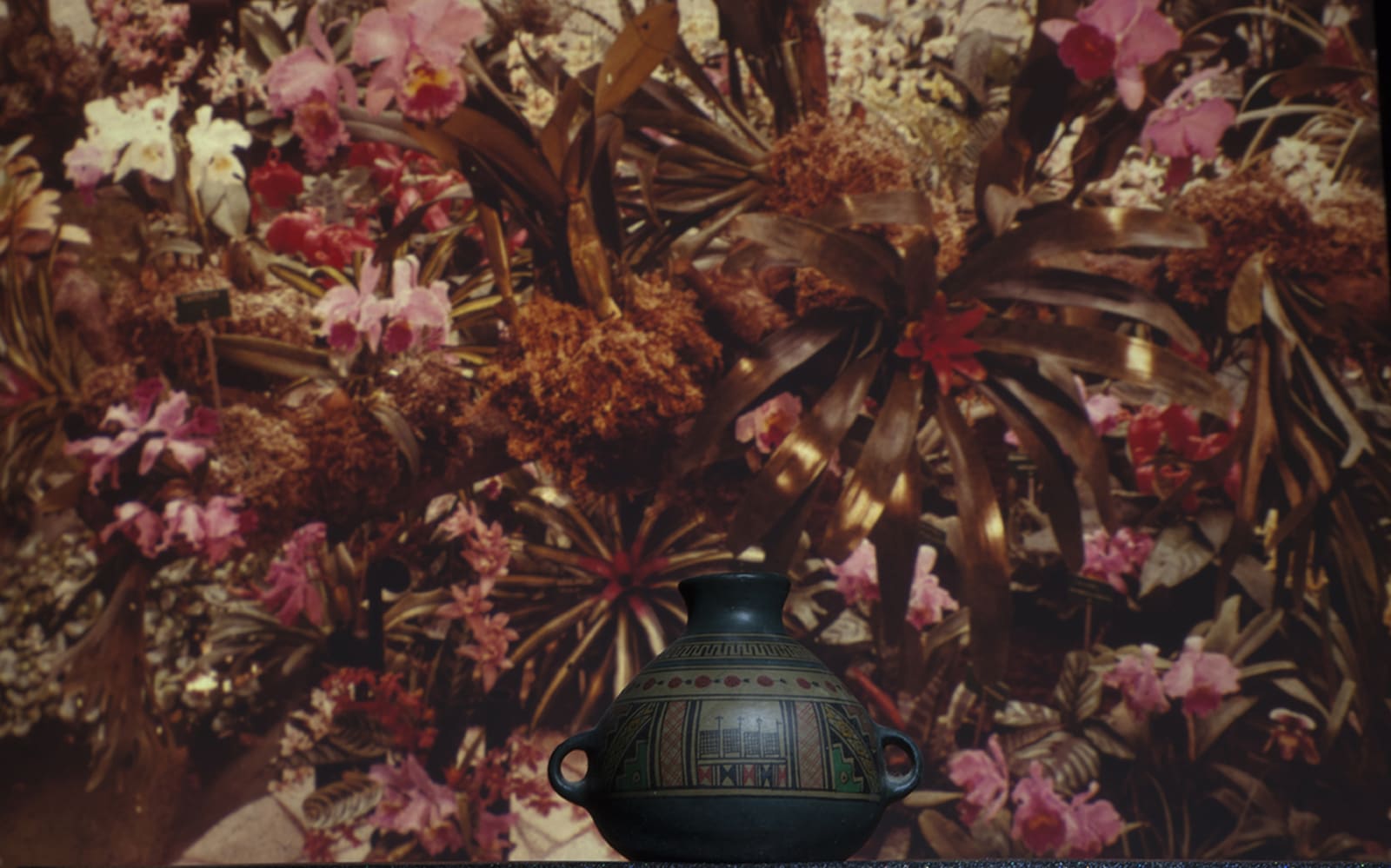 LES HORIZONTAUX - charlotte el moussaed