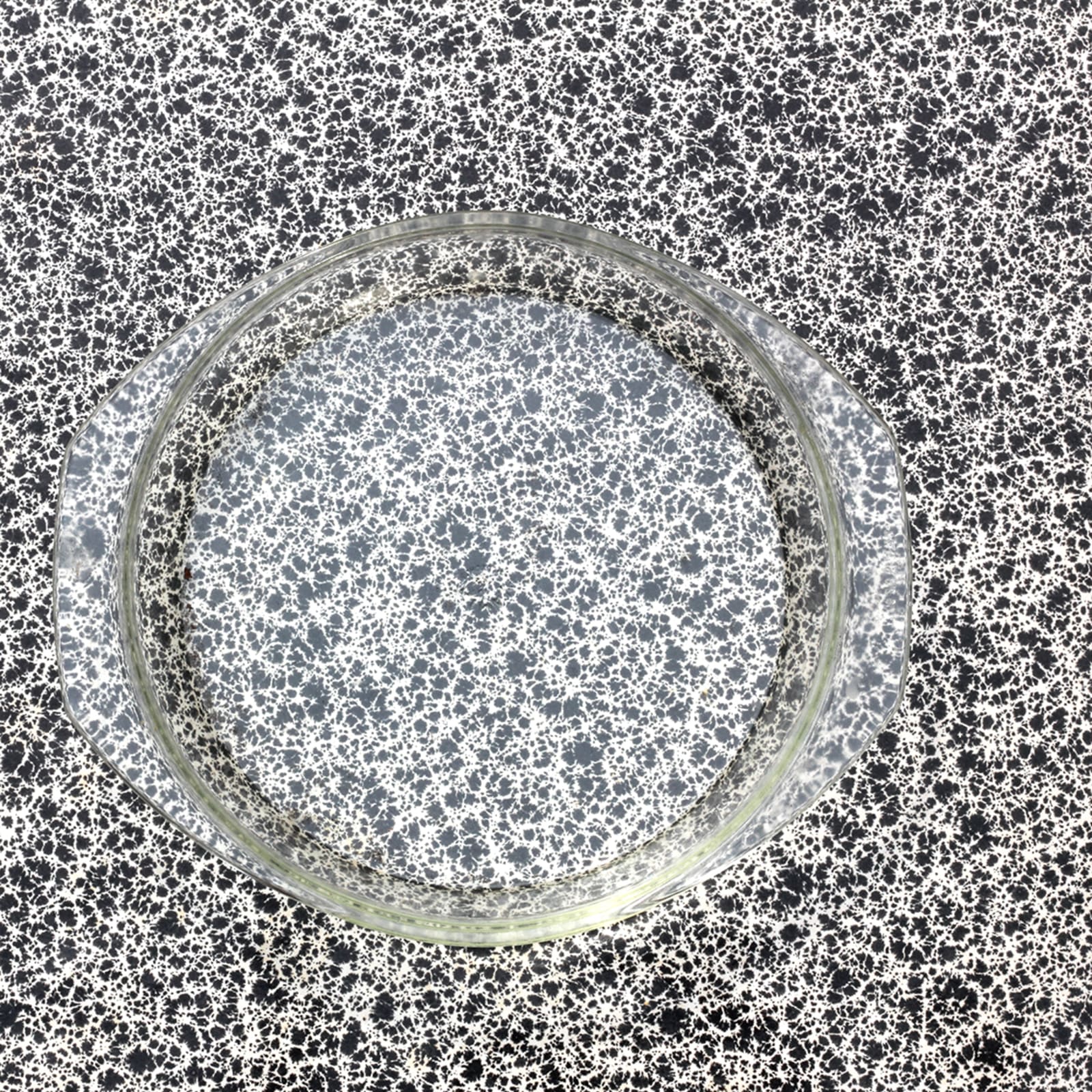 PLATS - charlotte el moussaed