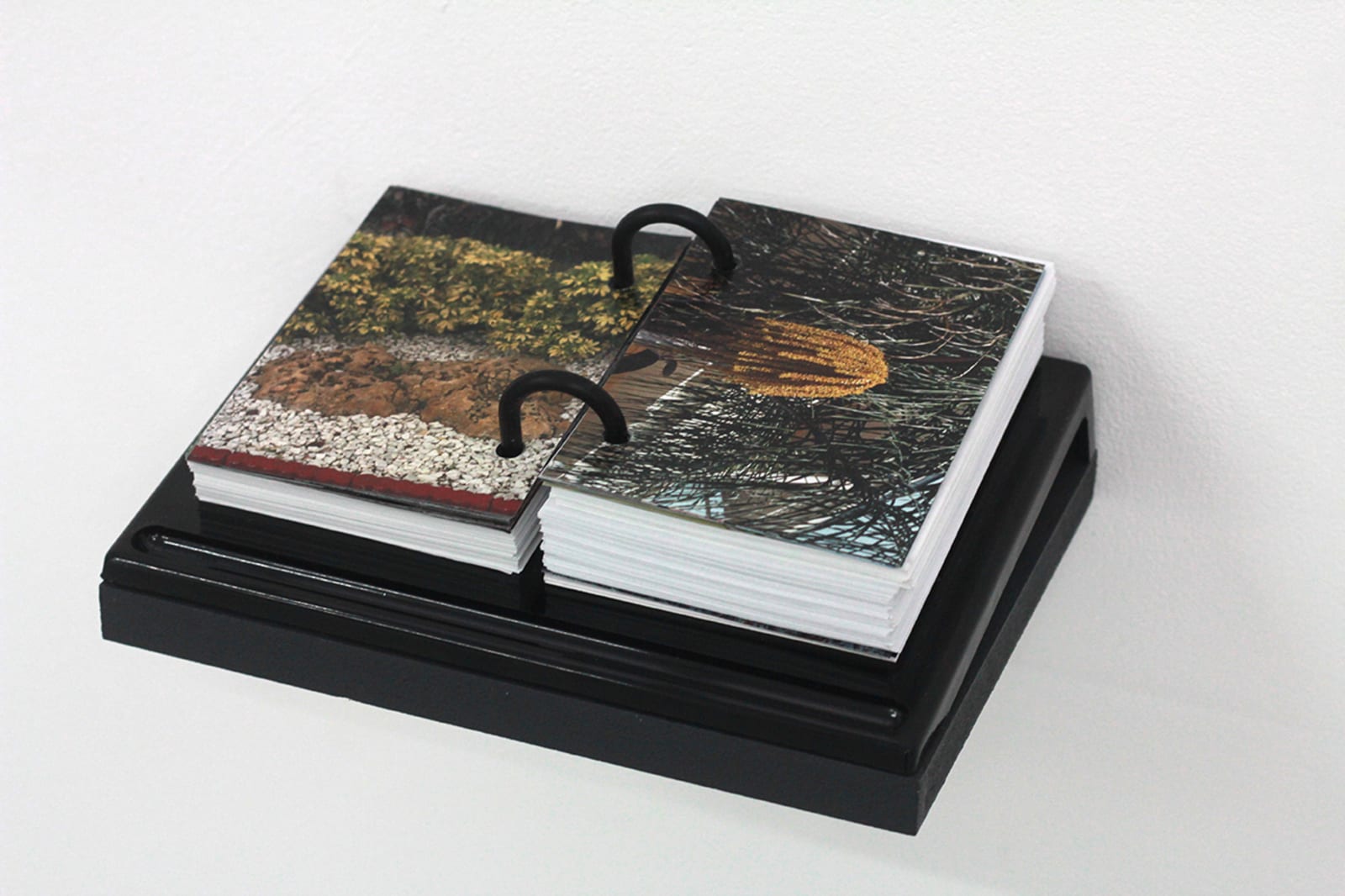 sans titre - charlotte el moussaed