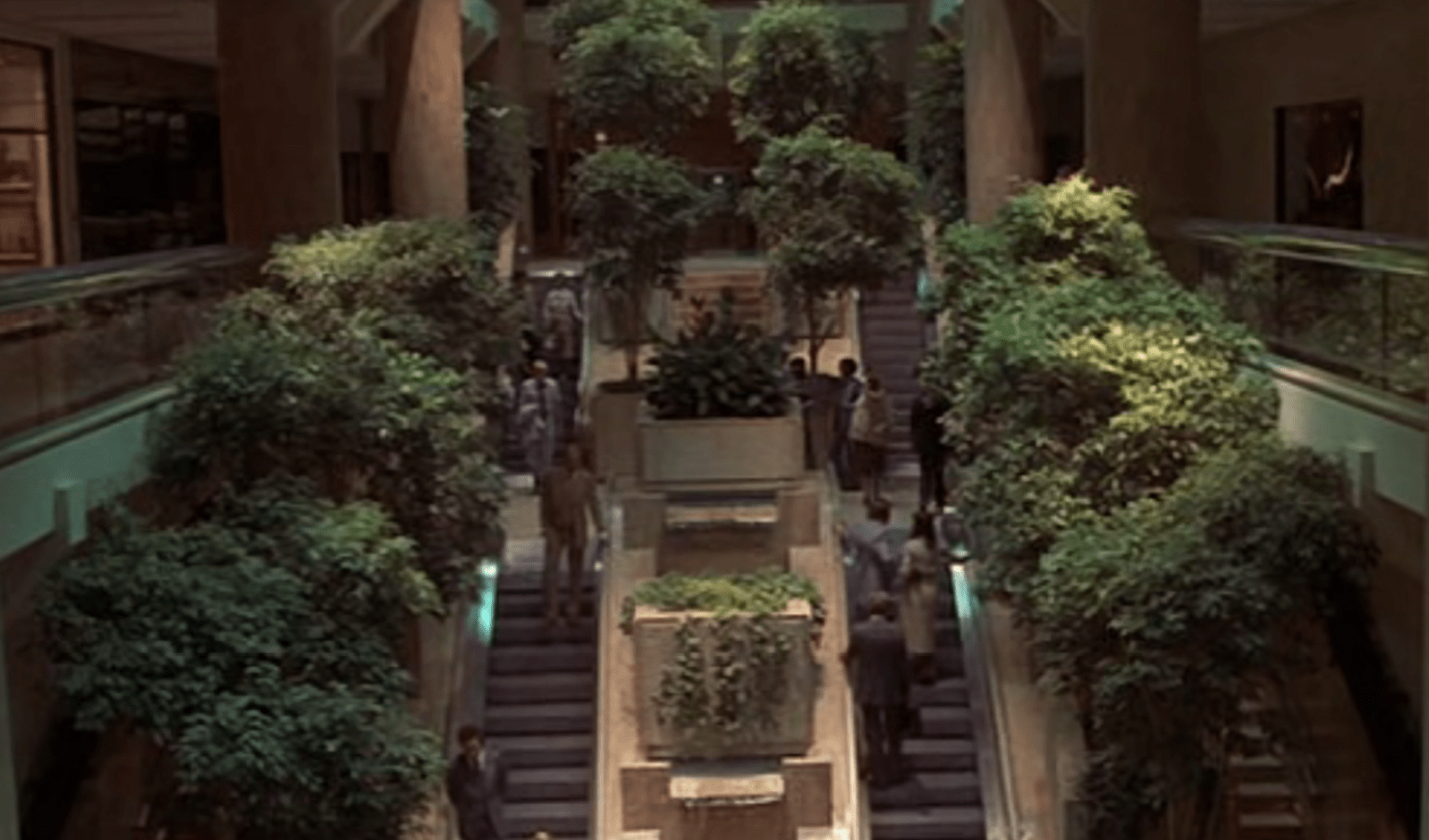 CAPTURES DES REGARDES - charlotte el moussaed