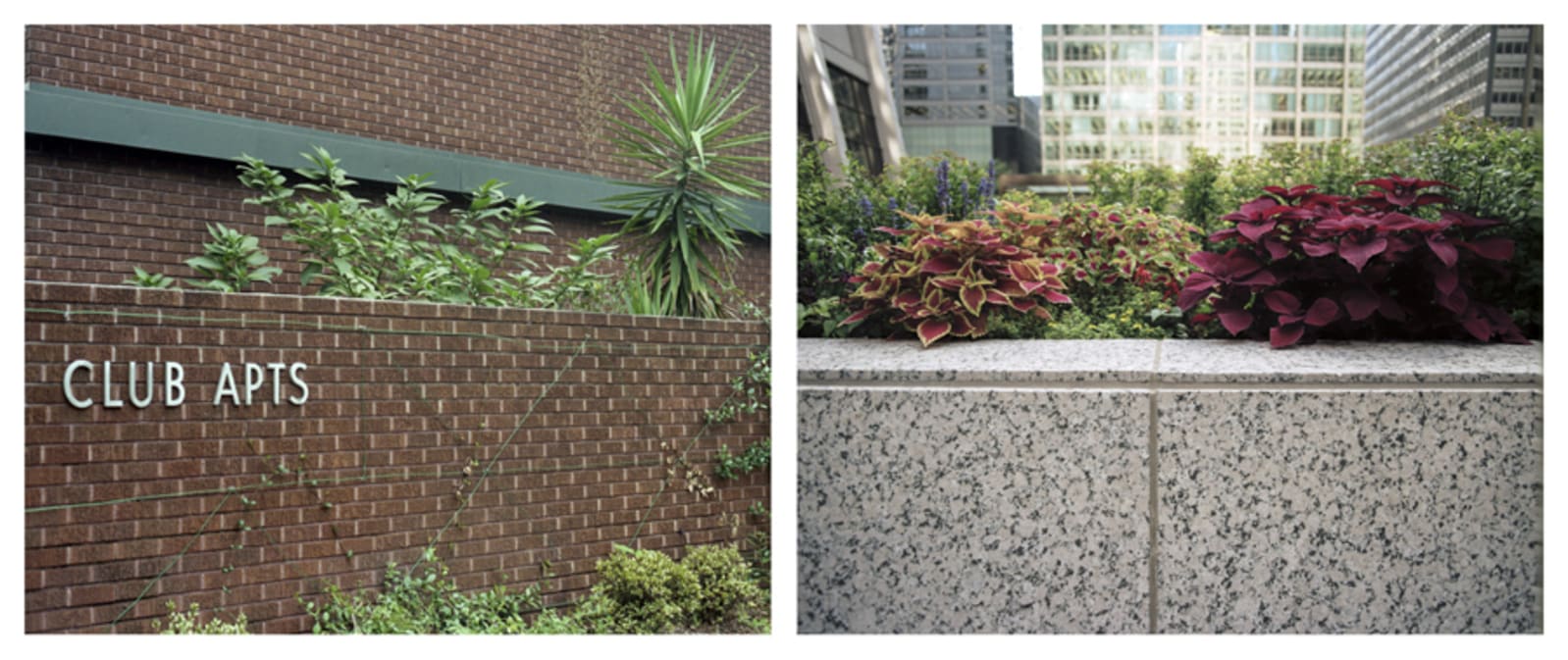 DOUBLE  - charlotte el moussaed