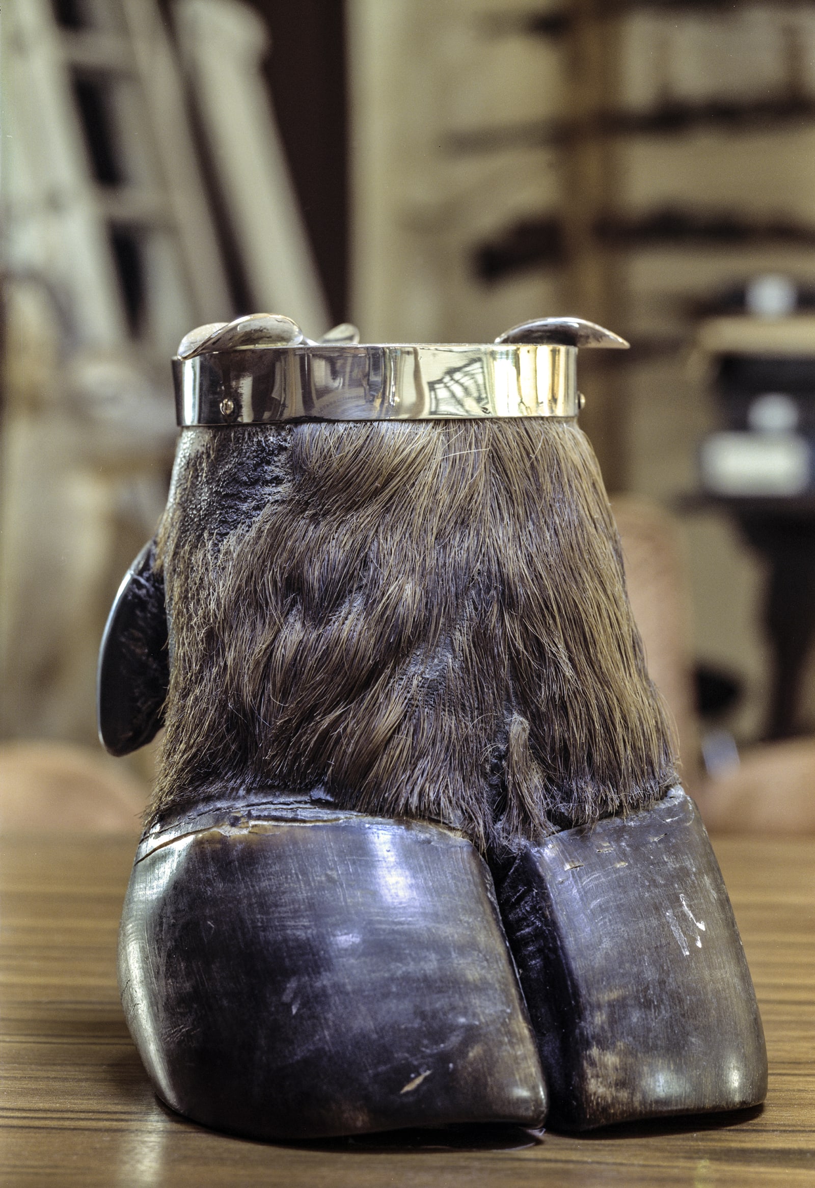 CHASSE - charlotte el moussaed