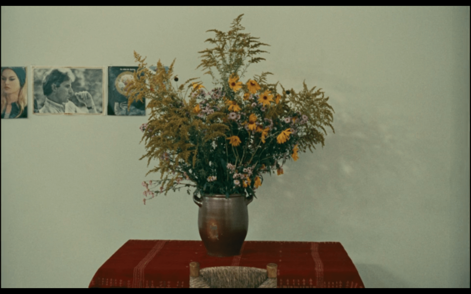 CAPTURES DES REGARDÉS - charlotte el moussaed