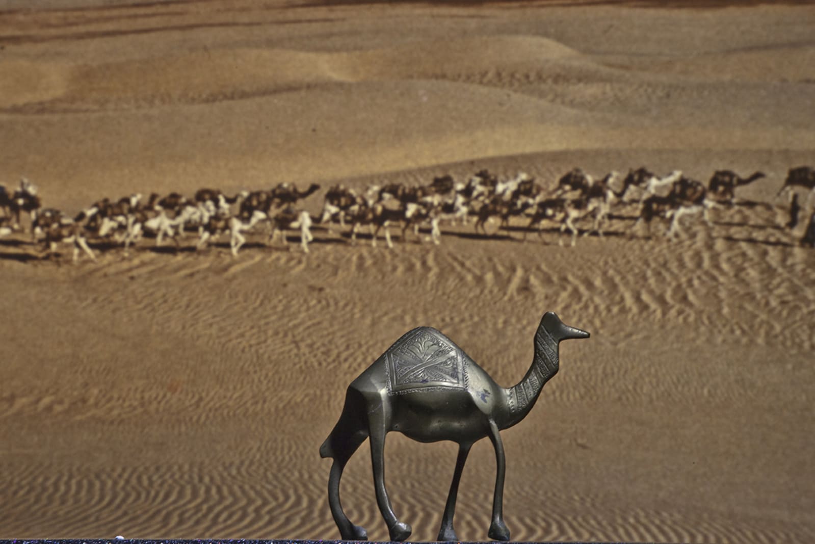 LES HORIZONTAUX - charlotte el moussaed