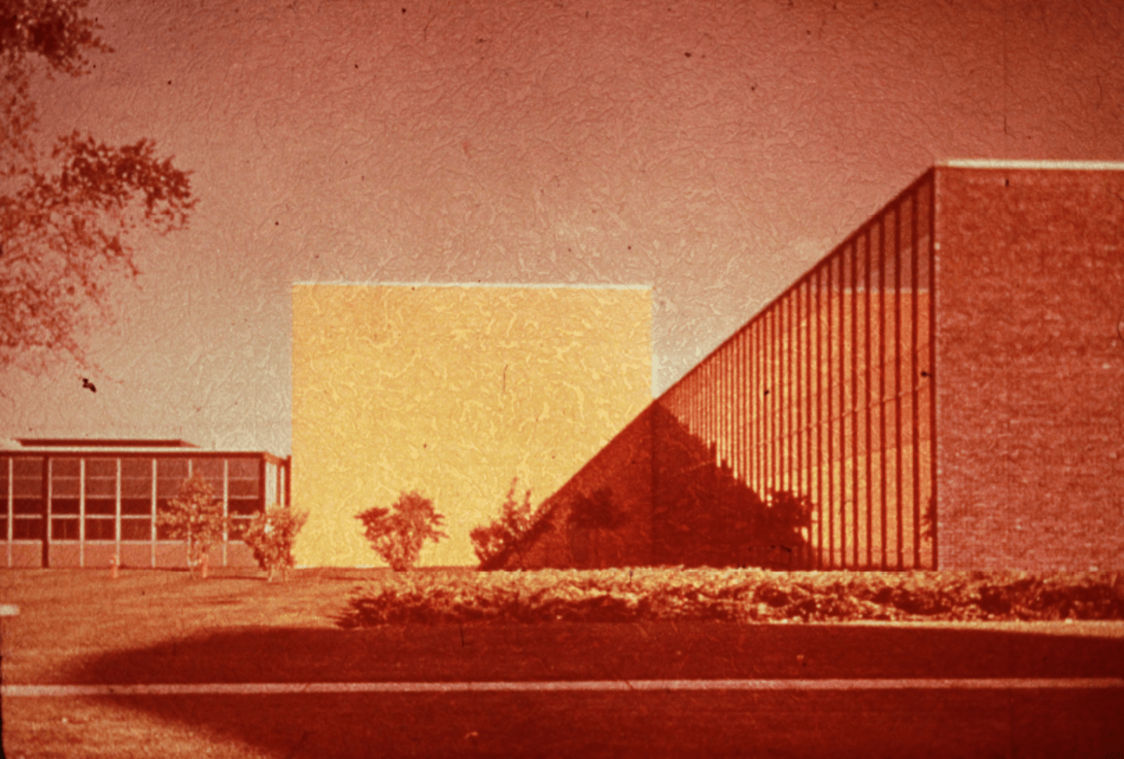 CAPTURES DES REGARDES - charlotte el moussaed