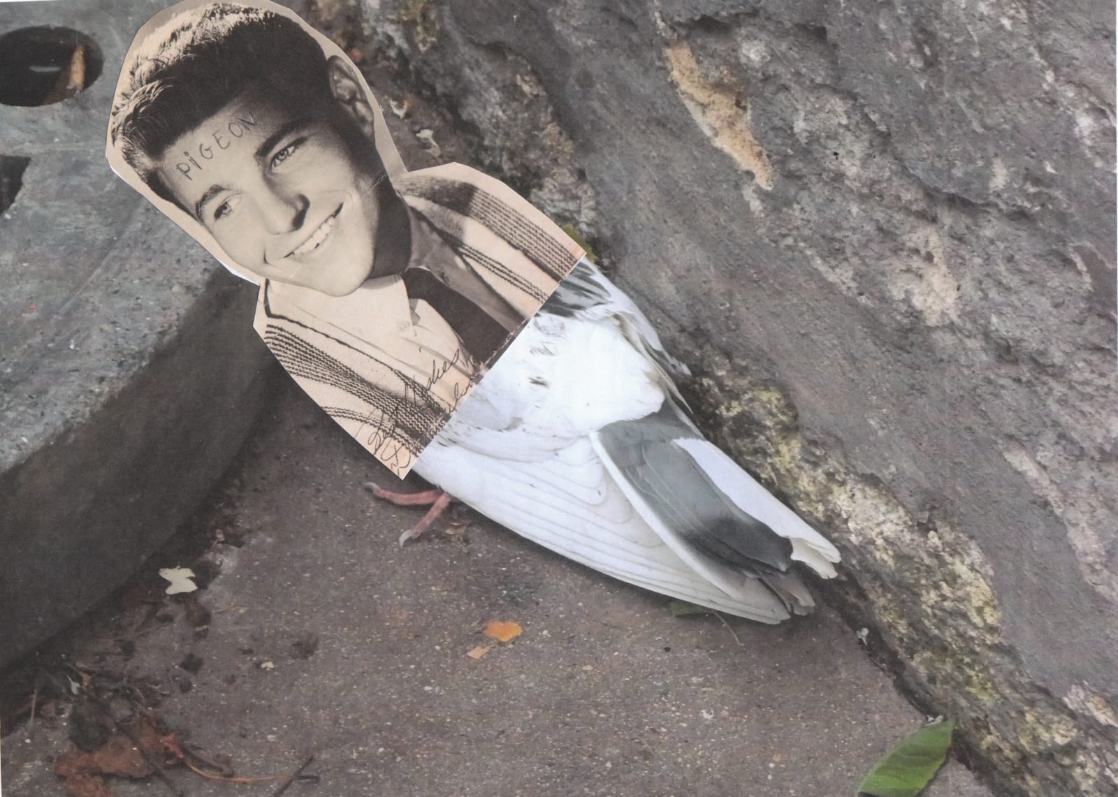 MJDM - charlotte el moussaed