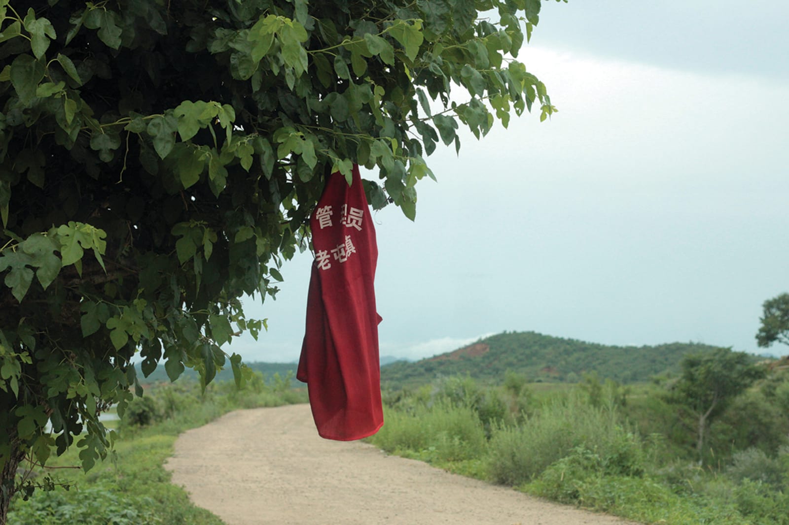 Recueil - charlotte el moussaed