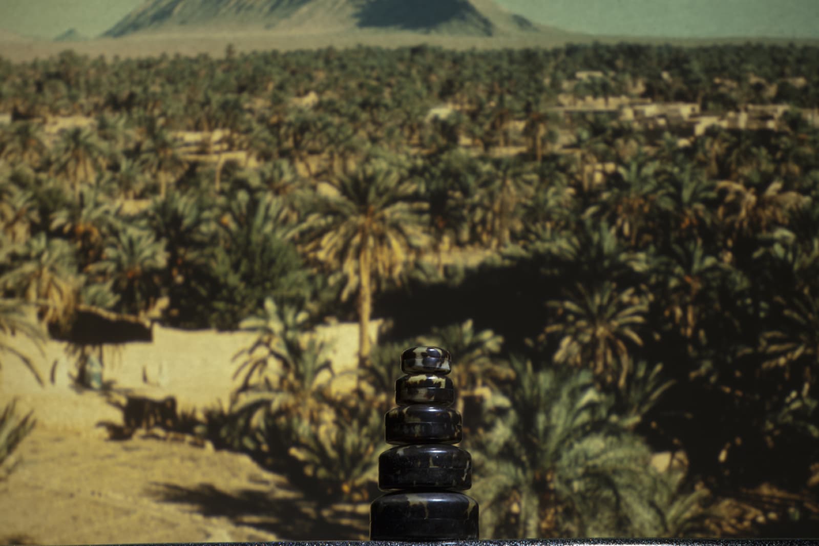 LES HORIZONTAUX - charlotte el moussaed