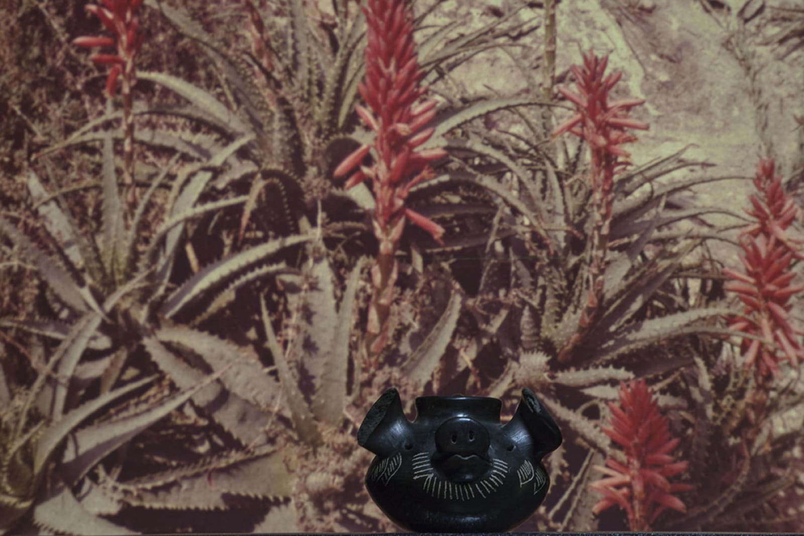 LES HORIZONTAUX - charlotte el moussaed