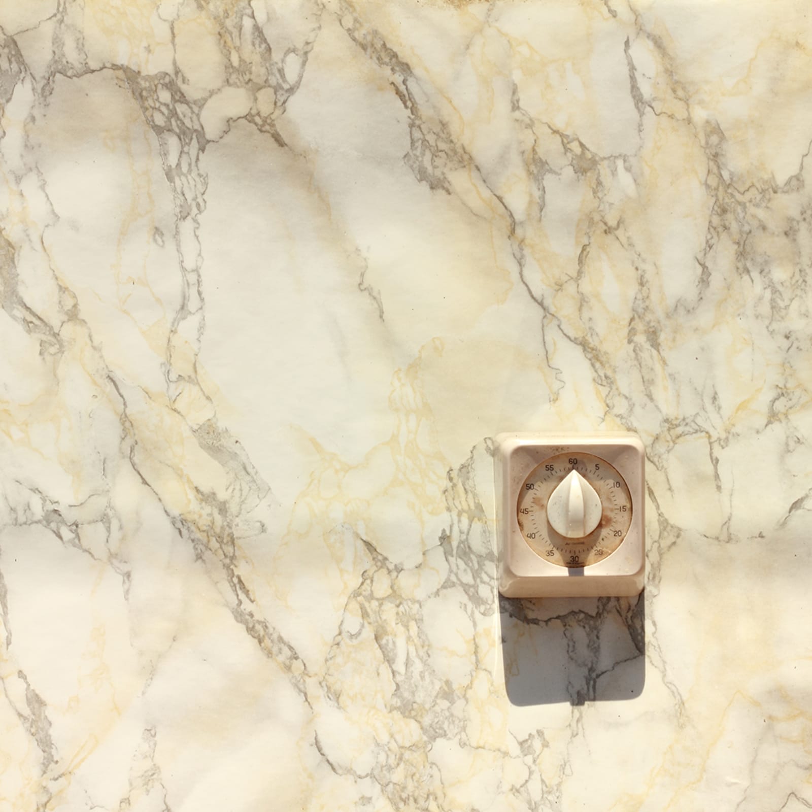 PLATS - charlotte el moussaed