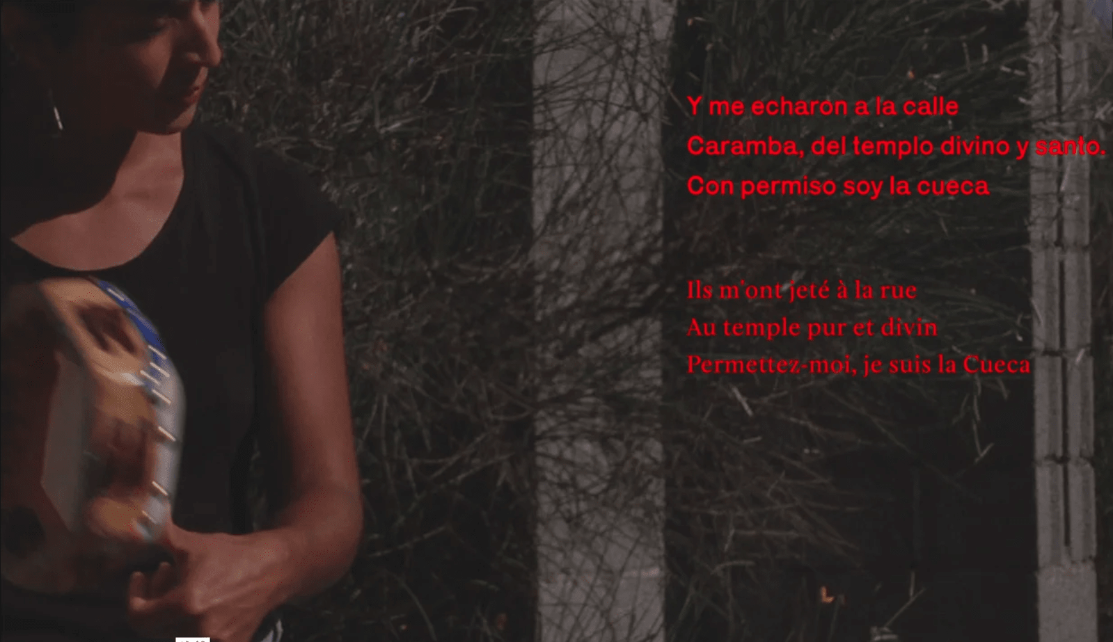 CAPTURES VIDEOS - charlotte el moussaed