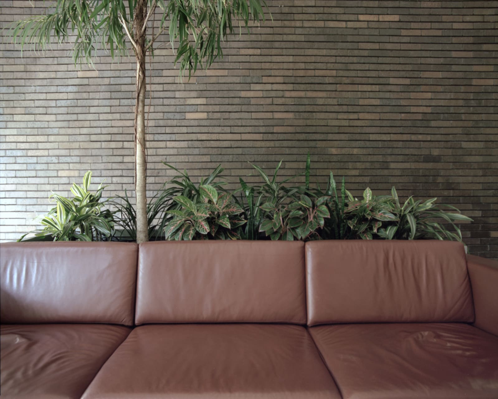 LOBBY - charlotte el moussaed