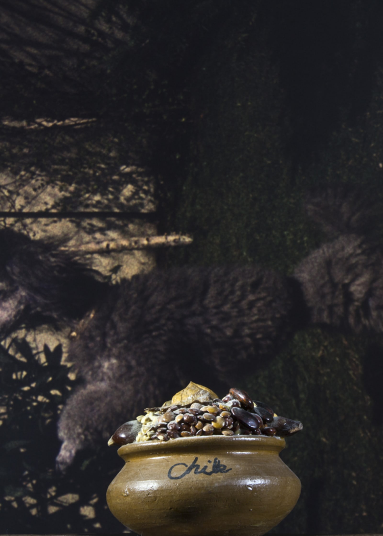 LES VERTICAUX - charlotte el moussaed