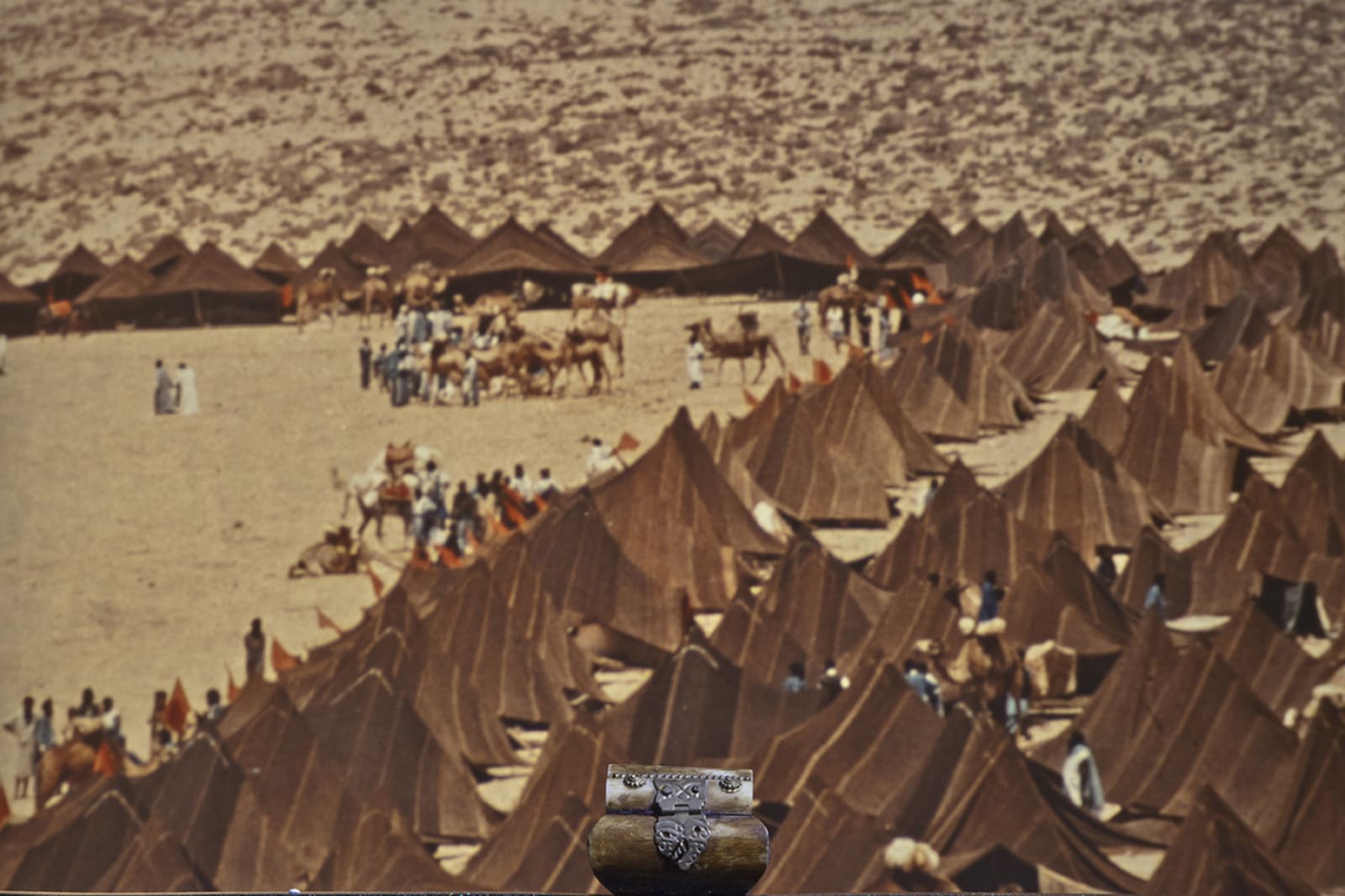 LES HORIZONTAUX - charlotte el moussaed