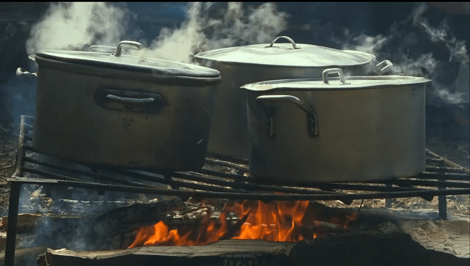 CAPTURES DES REGARDÉS - charlotte el moussaed