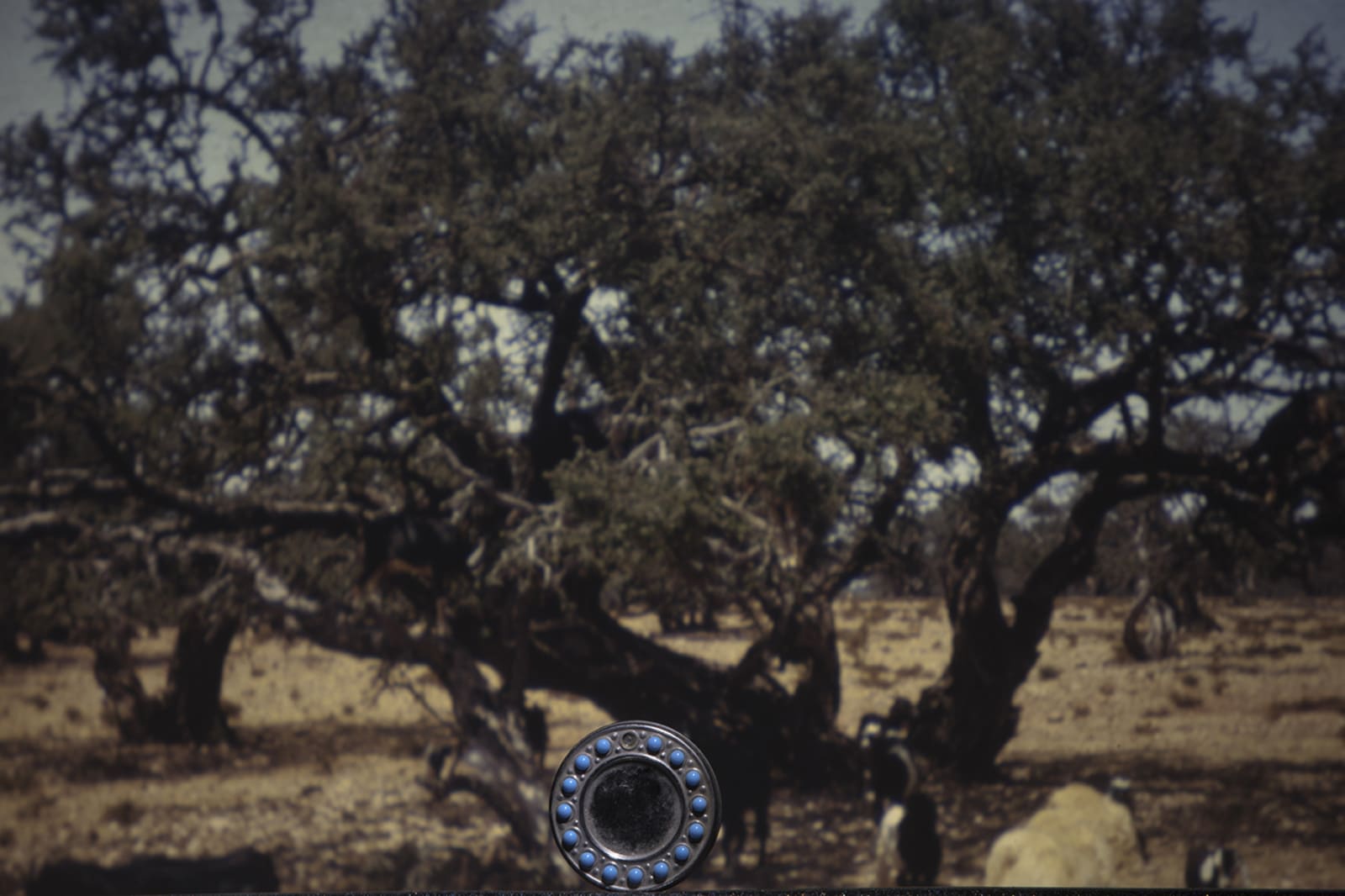 LES HORIZONTAUX - charlotte el moussaed