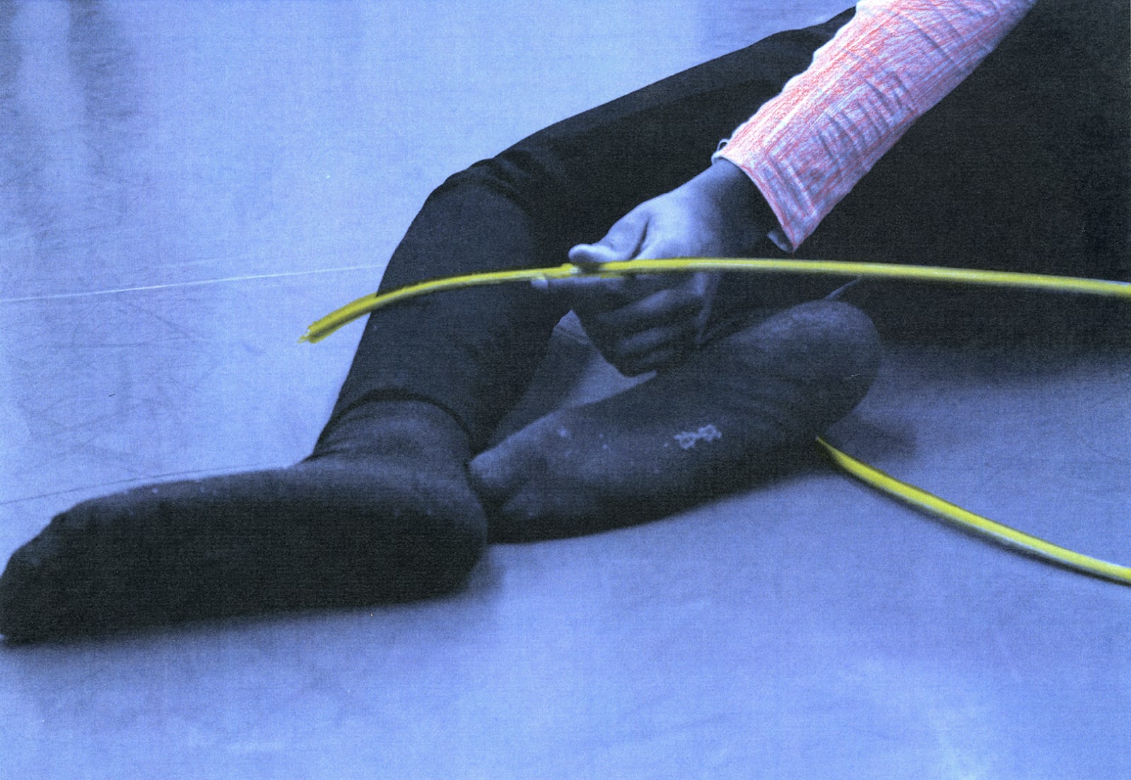 MJDM - charlotte el moussaed