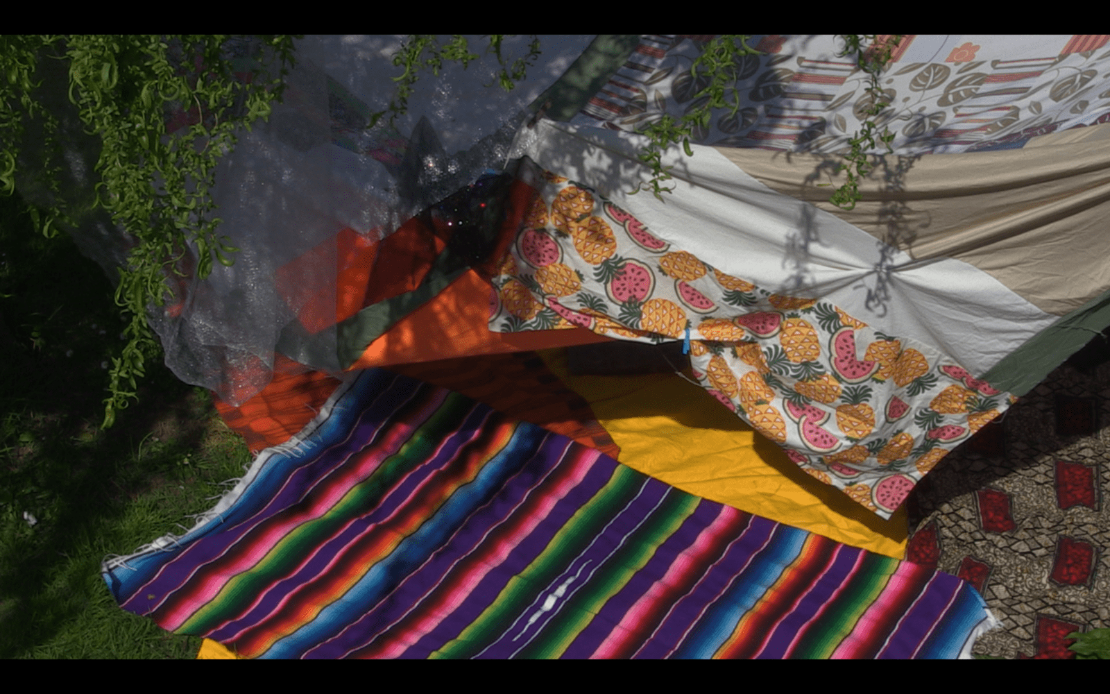 CAPTURES VIDEOS - charlotte el moussaed