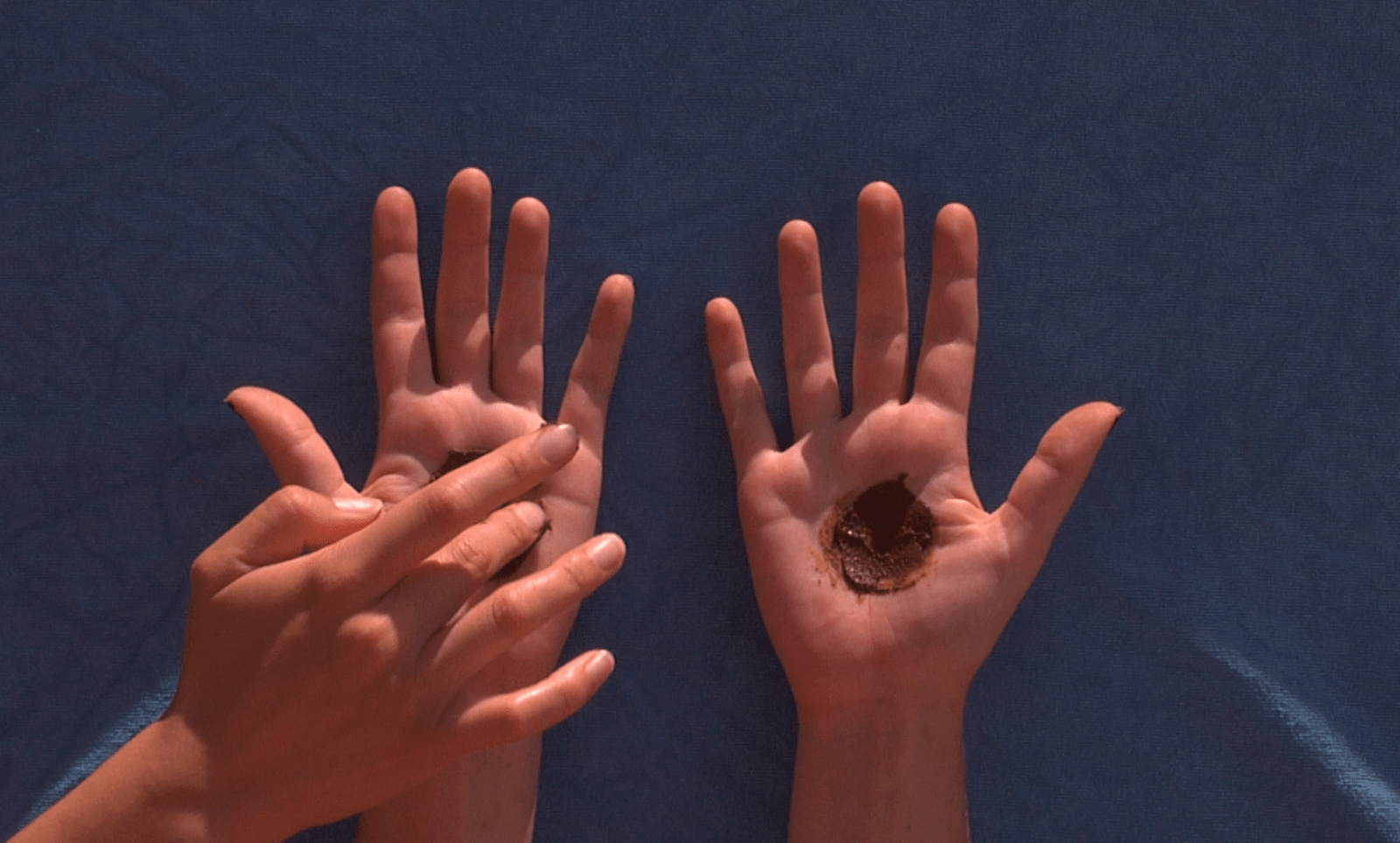 CAPTURES VIDEOS - charlotte el moussaed